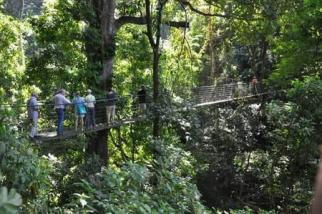 Puntarenas (Costa Rica)