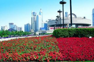 Shanghai